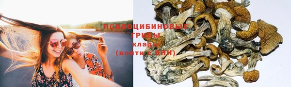 гидропоника Баксан