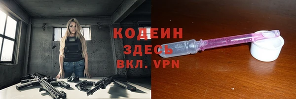 хмурый Арсеньев